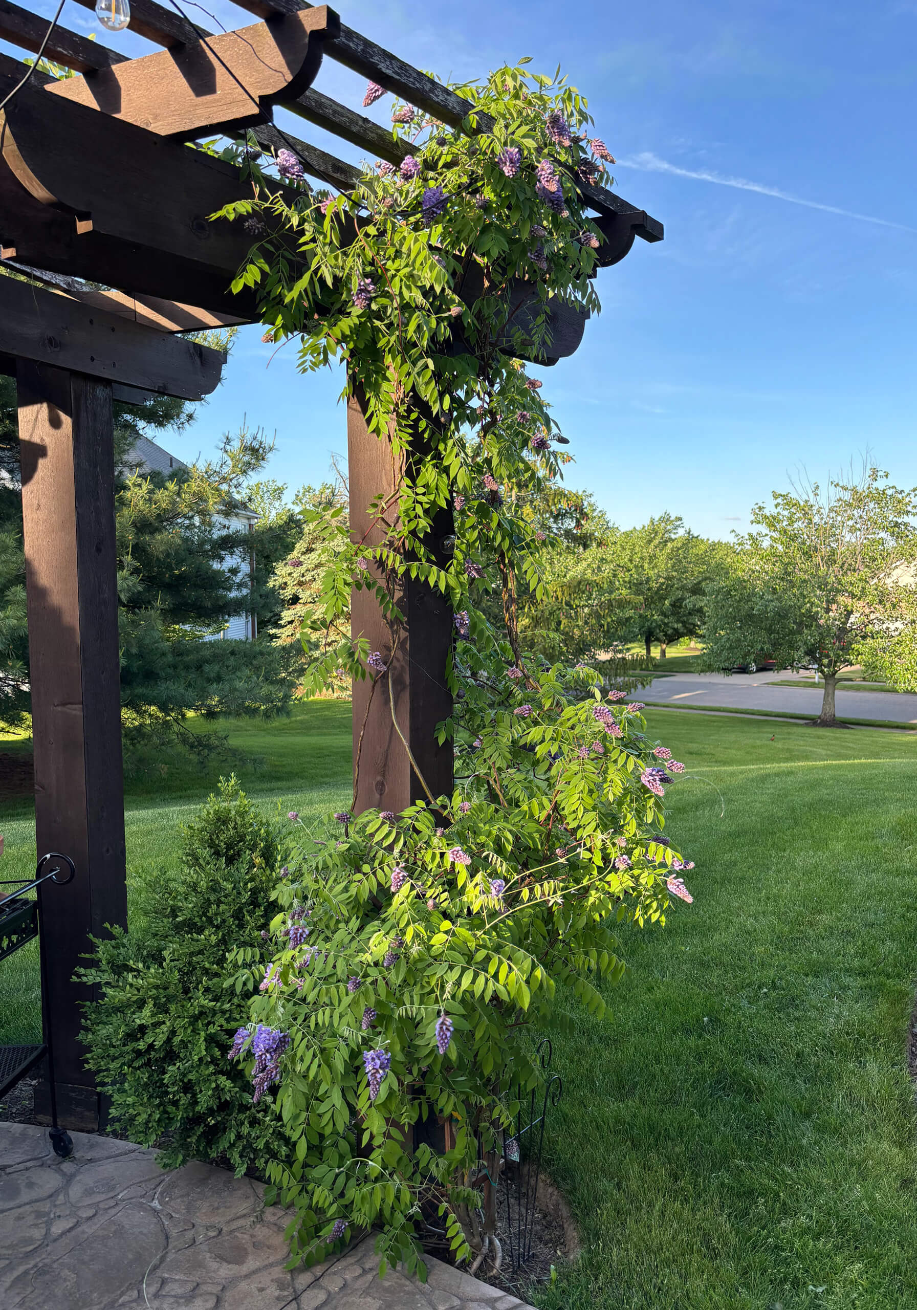garden-pergola Garden Pergola